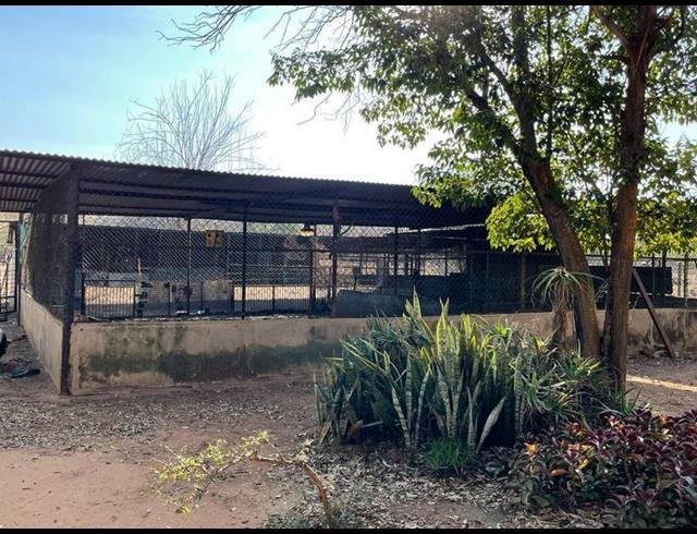 FARM FOR SALE IN THABAZIMBI